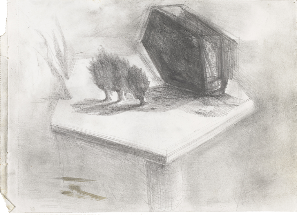 Pikilonia # 1, Hendrik Vermeulen