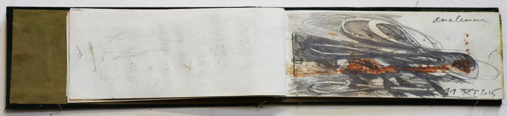 Hendrik Vermeulen field book T -TT