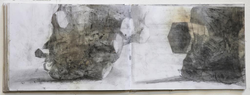 Hendrik Vermeulen field book Pikilonia I march-april 2017 year 52
