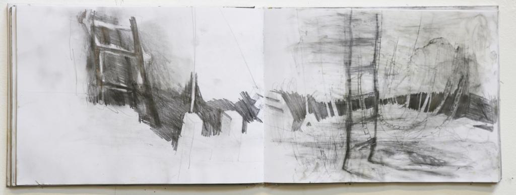 Hendrik Vermeulen field book Pikilonia I march-april 2017 year 52
