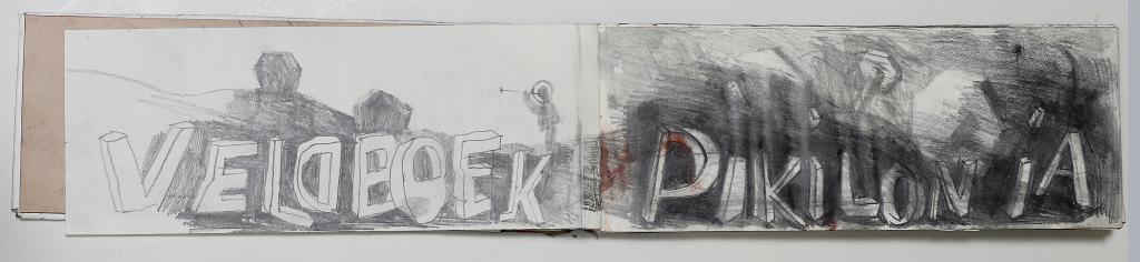 Hendrik Vermeulen -veldboek Pikilonia II