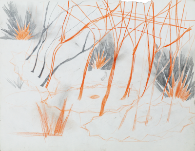 hendrik vermeulen -drawing -  field station pikilonia - stop 4