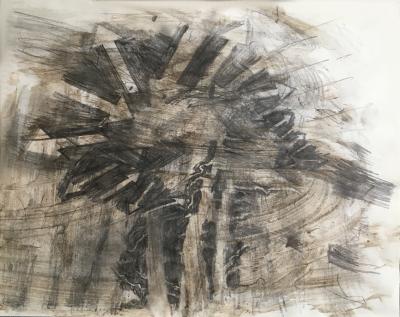 hendrik vermeulen -drawing -  field station pikilonia - stop 4