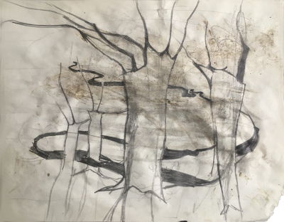 hendrik vermeulen -drawing -  field station pikilonia - stop 4