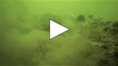 Cyclorama, test 4, Hendrik Vermeulen