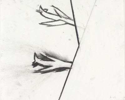 Excerpt from a vacuum # 2 . Hendrik Vermeulen