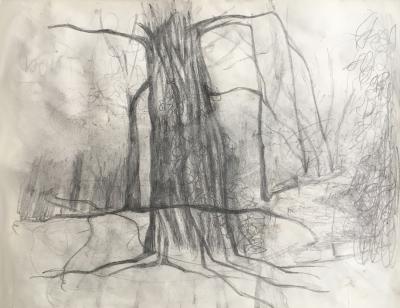 hendrik vermeulen -drawing -  field station pikilonia - stop 4