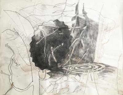 hendrik vermeulen -drawing -  field station pikilonia - stop 4