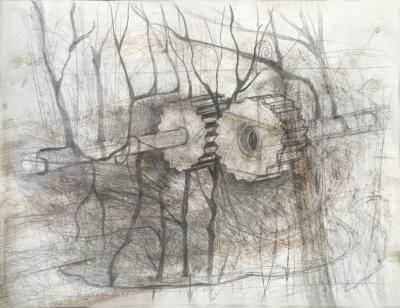 hendrik vermeulen -drawing -  field station pikilonia - stop 4